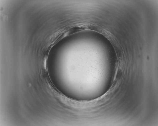 X0000067950047200604201442