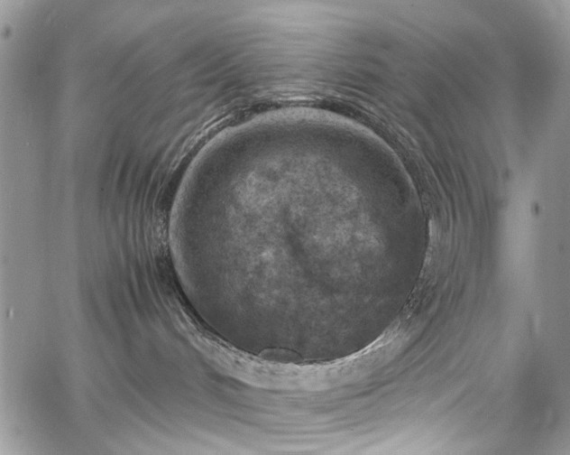 X0000067950048200604201442