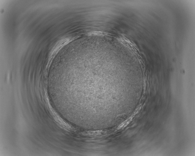 X0000067950049200604201441