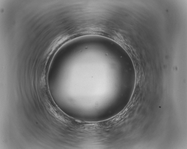 X0000067950050200604201441