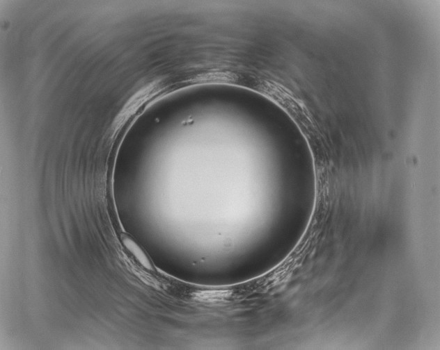 X0000067950051200604201441