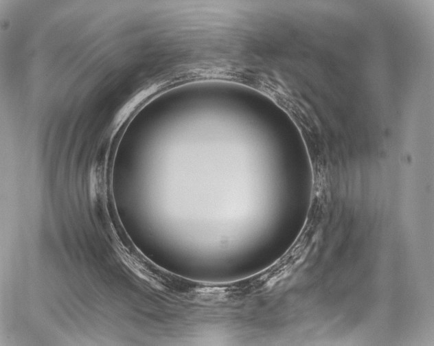 X0000067950052200604201441