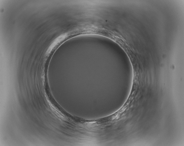 X0000067950054200604201441