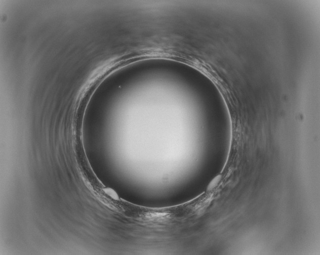 X0000067950055200604201441