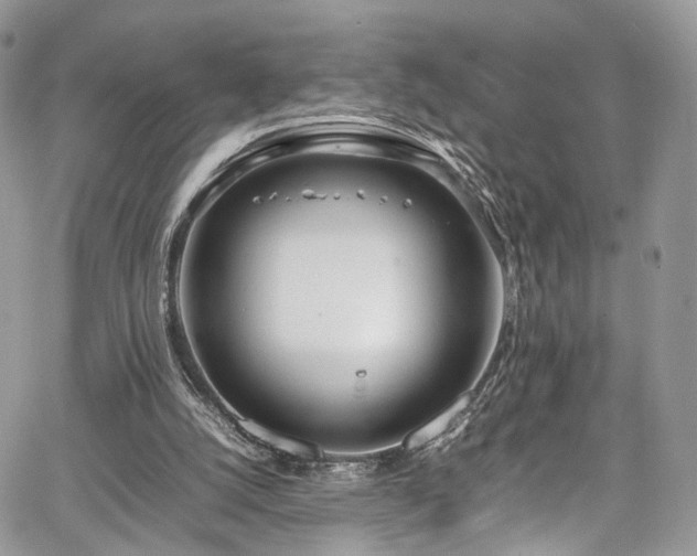 X0000067950056200604201441