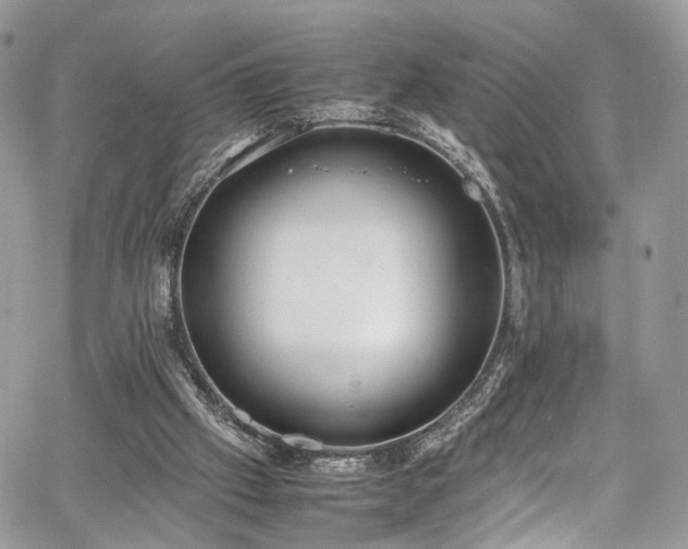 X0000067950057200604201441