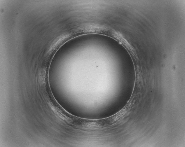 X0000067950058200604201441