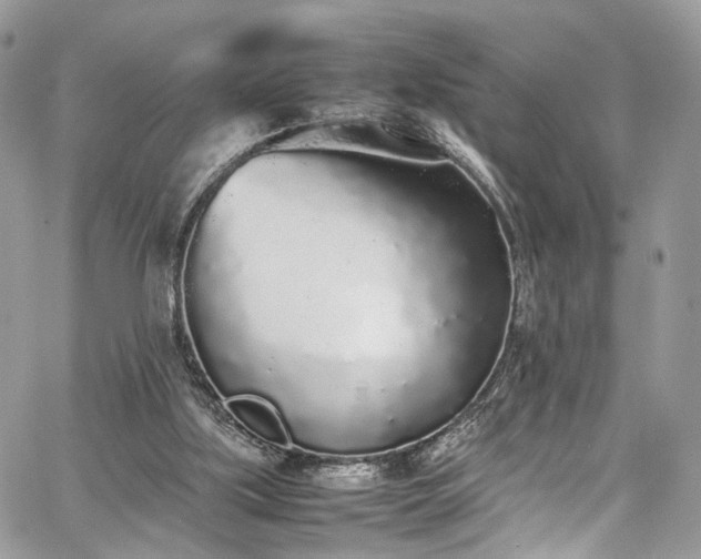 X0000067950059200604201441