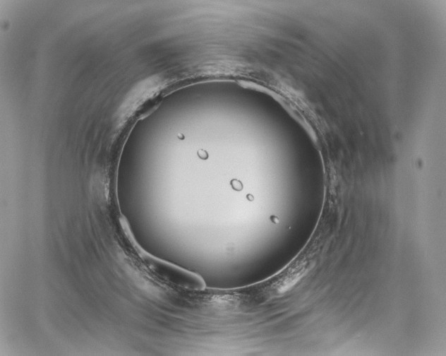 X0000067950060200604201441