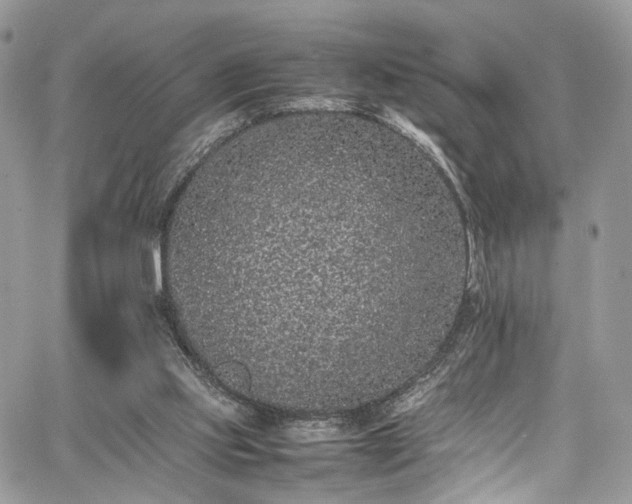 X0000067950061200604201441