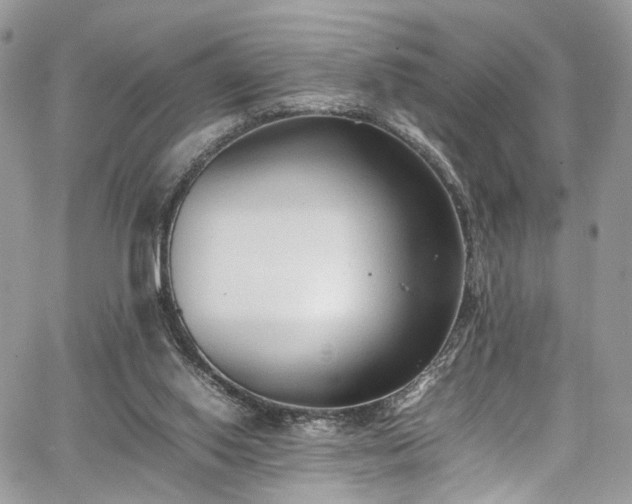 X0000067950062200604201441