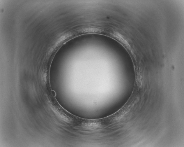 X0000067950063200604201441