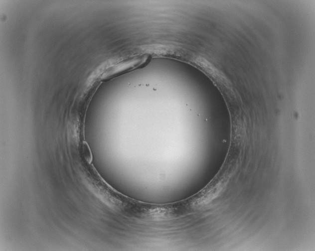 X0000067950064200604201442