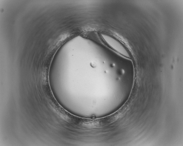 X0000067950065200604201442