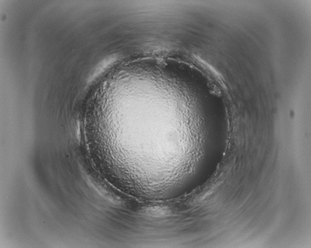 X0000067950067200604201442