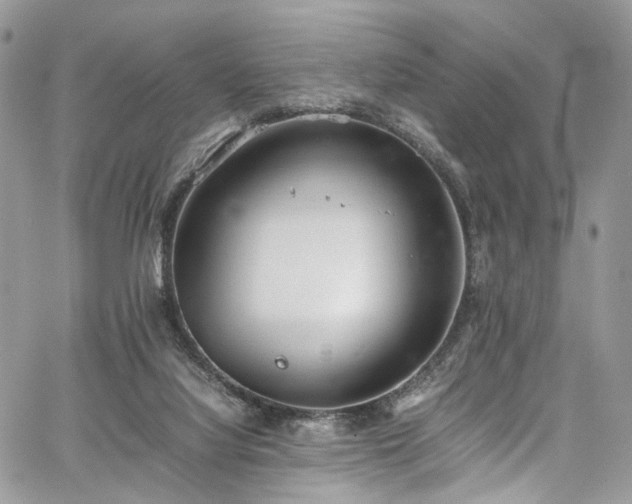 X0000067950068200604201442