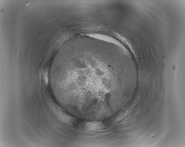 X0000067950069200604201442