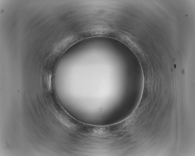 X0000067950070200604201442