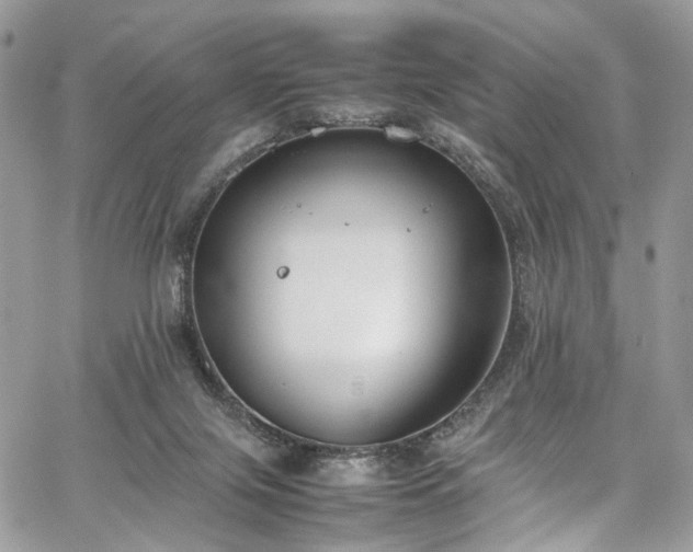 X0000067950071200604201442