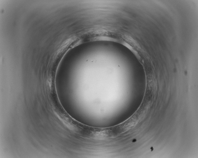 X0000067950072200604201442