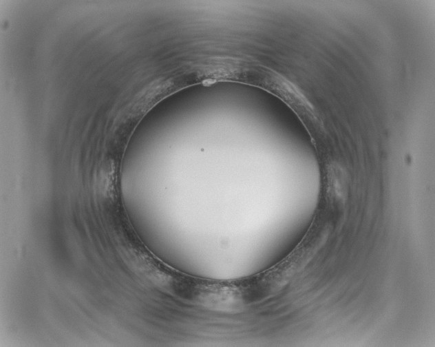 X0000067950073200604201442