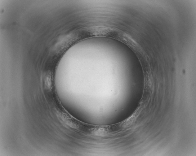 X0000067950074200604201442