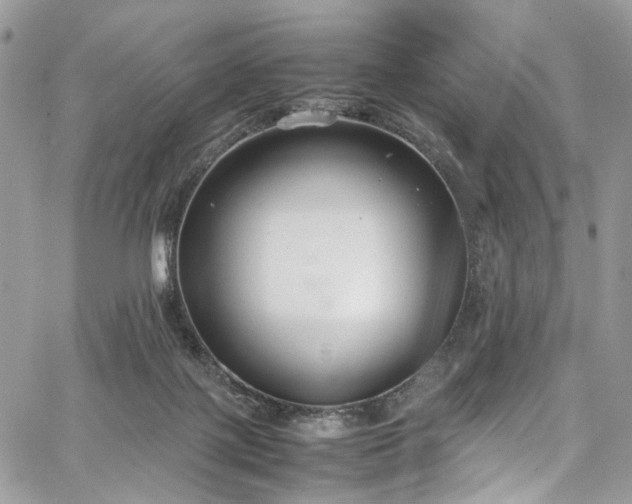 X0000067950075200604201442