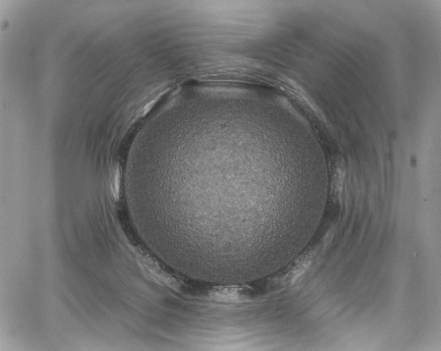 X0000067950076200604201442