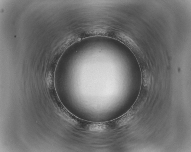 X0000067950077200604201442