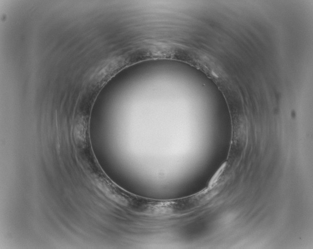 X0000067950078200604201442