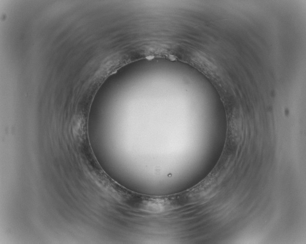 X0000067950079200604201442