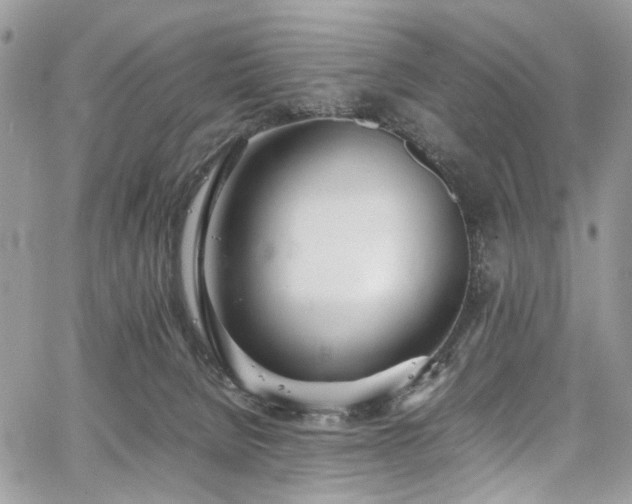 X0000067950080200604201442