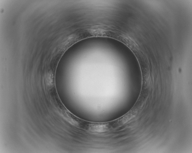 X0000067950081200604201442