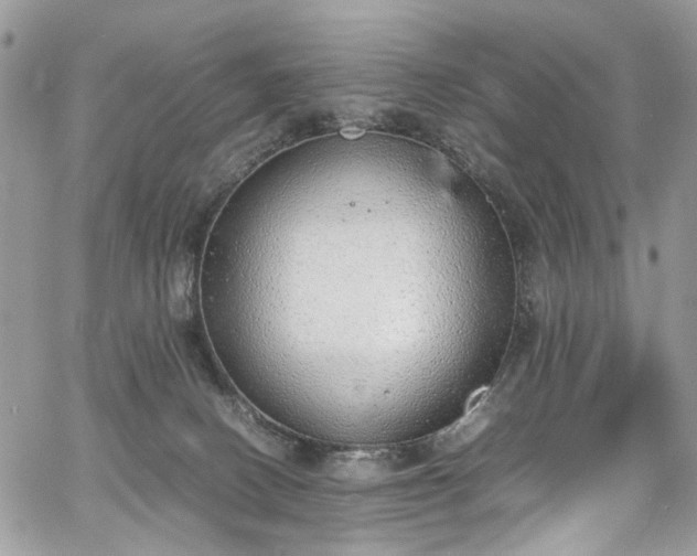 X0000067950082200604201442