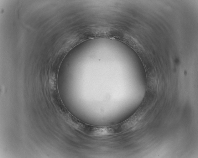 X0000067950083200604201442