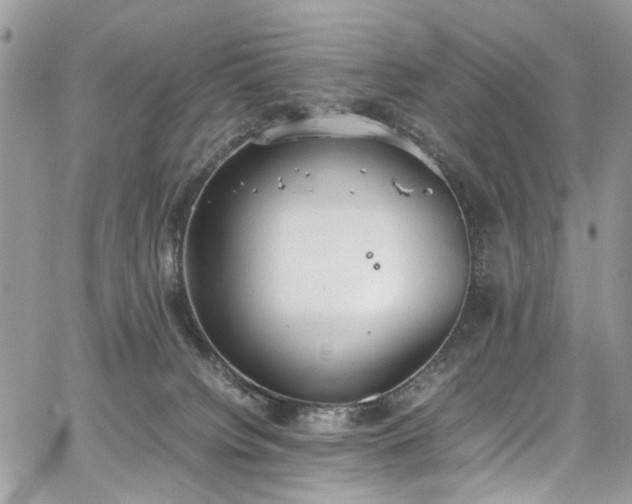 X0000067950084200604201442