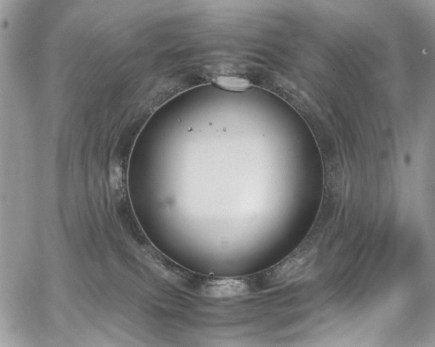 X0000067950087200604201442