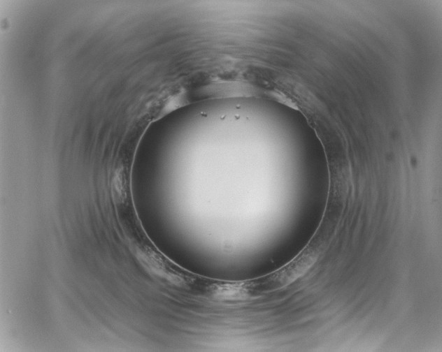 X0000067950088200604201442