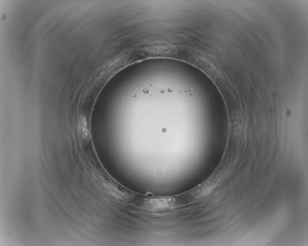 X0000067950089200604201442