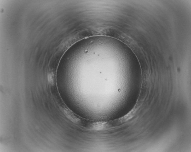 X0000067950090200604201442