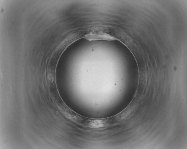 X0000067950091200604201442