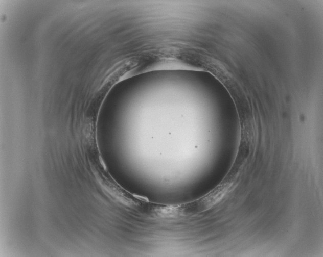 X0000067950092200604201442