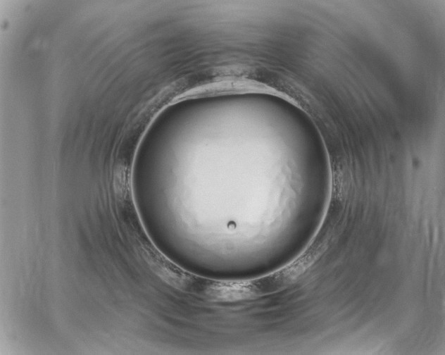 X0000067950093200604201442