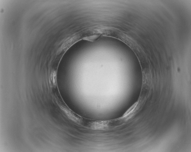 X0000067950094200604201442