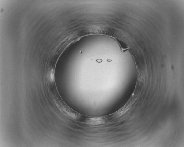 X0000067950095200604201442