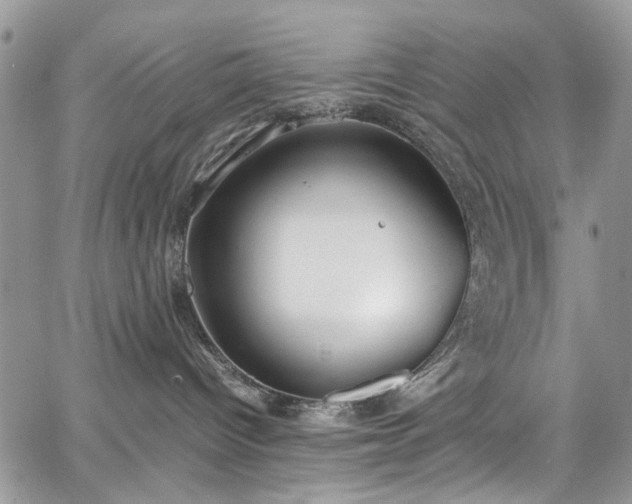 X0000067950096200604201442