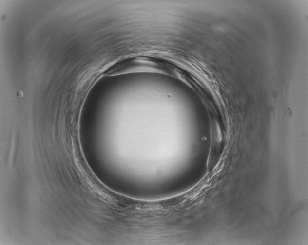 X0000067950097200604201441