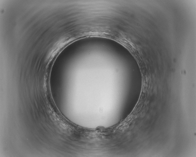 X0000067950098200604201441