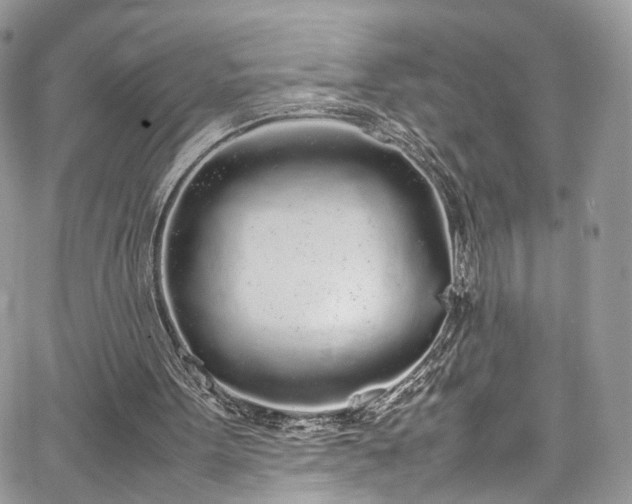 X0000067950099200604201441