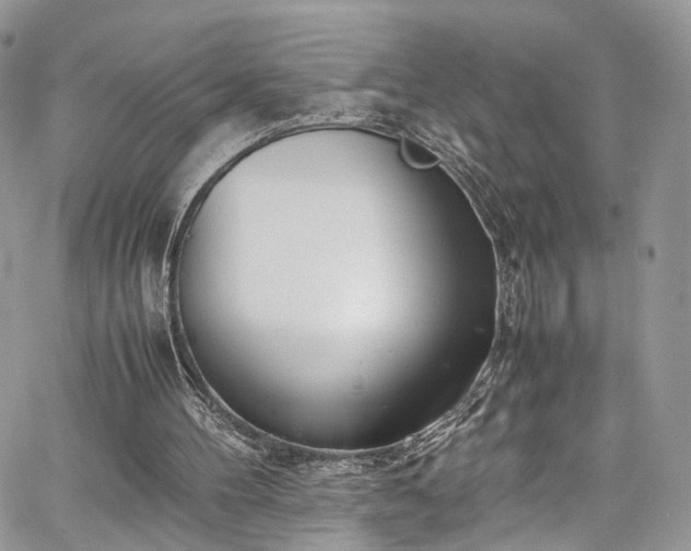 X0000067950100200604201441